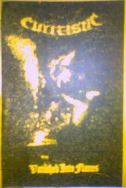 Vanished into Flames